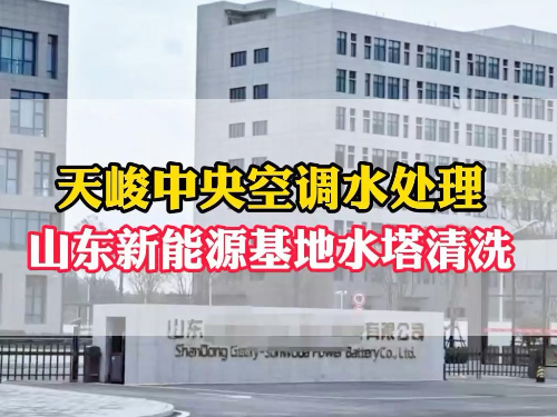 山东枣庄项目